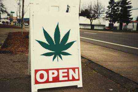 Avvio di un dispensario di marijuana medica - Esempio di modello di business plan