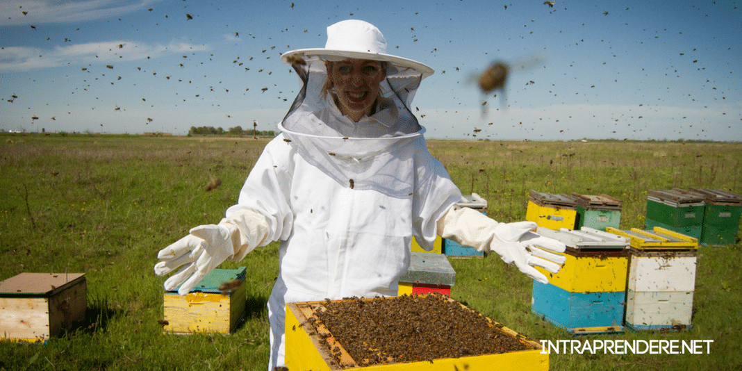 Avvio di un’azienda agricola di api